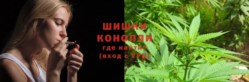 блэк спрут tor  цены   Жиздра  Бошки Шишки Ganja 